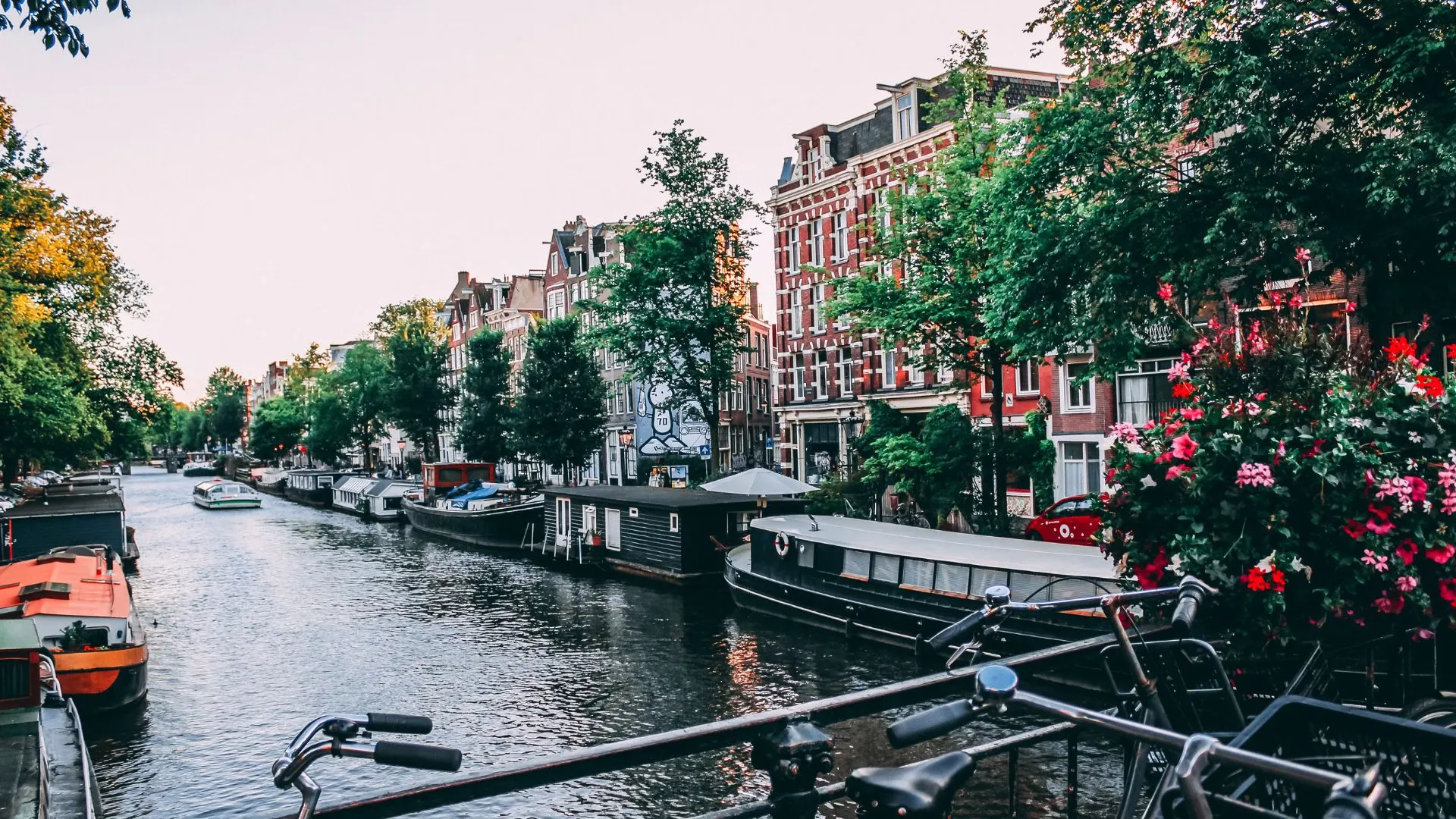 Amsterdam canal at dusk with houseboats moored along the water, brick canal houses and flowers in the foreground