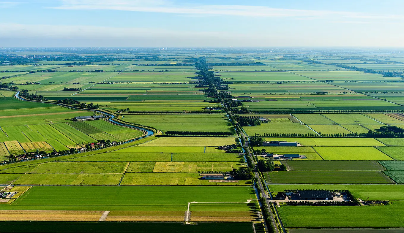 Aerial view of the flat green Beemster polder with straight roads, tree lines and drainage canals stretching to the horizon
