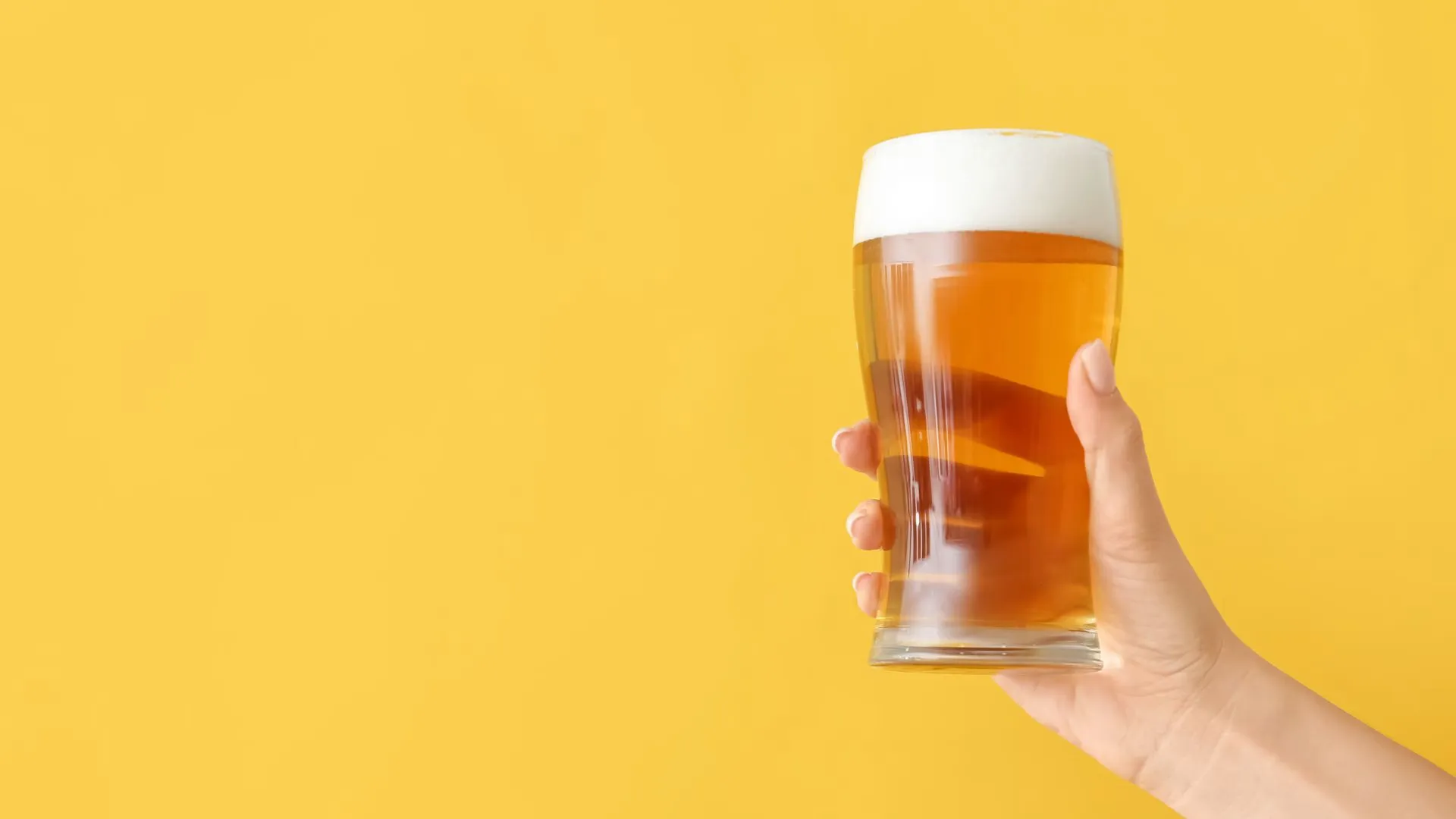 Craft beer canal cruises best brews with a view in amsterdam