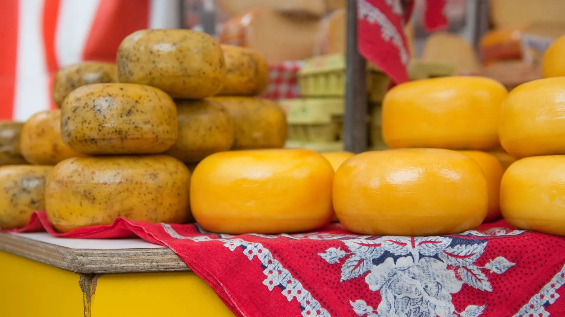 Whole Gouda cheese wheels stacked on a market stall, some plain yellow and some with herbs, on a red patterned cloth