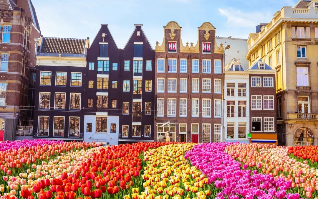 Is amsterdam expensive to eat and drink