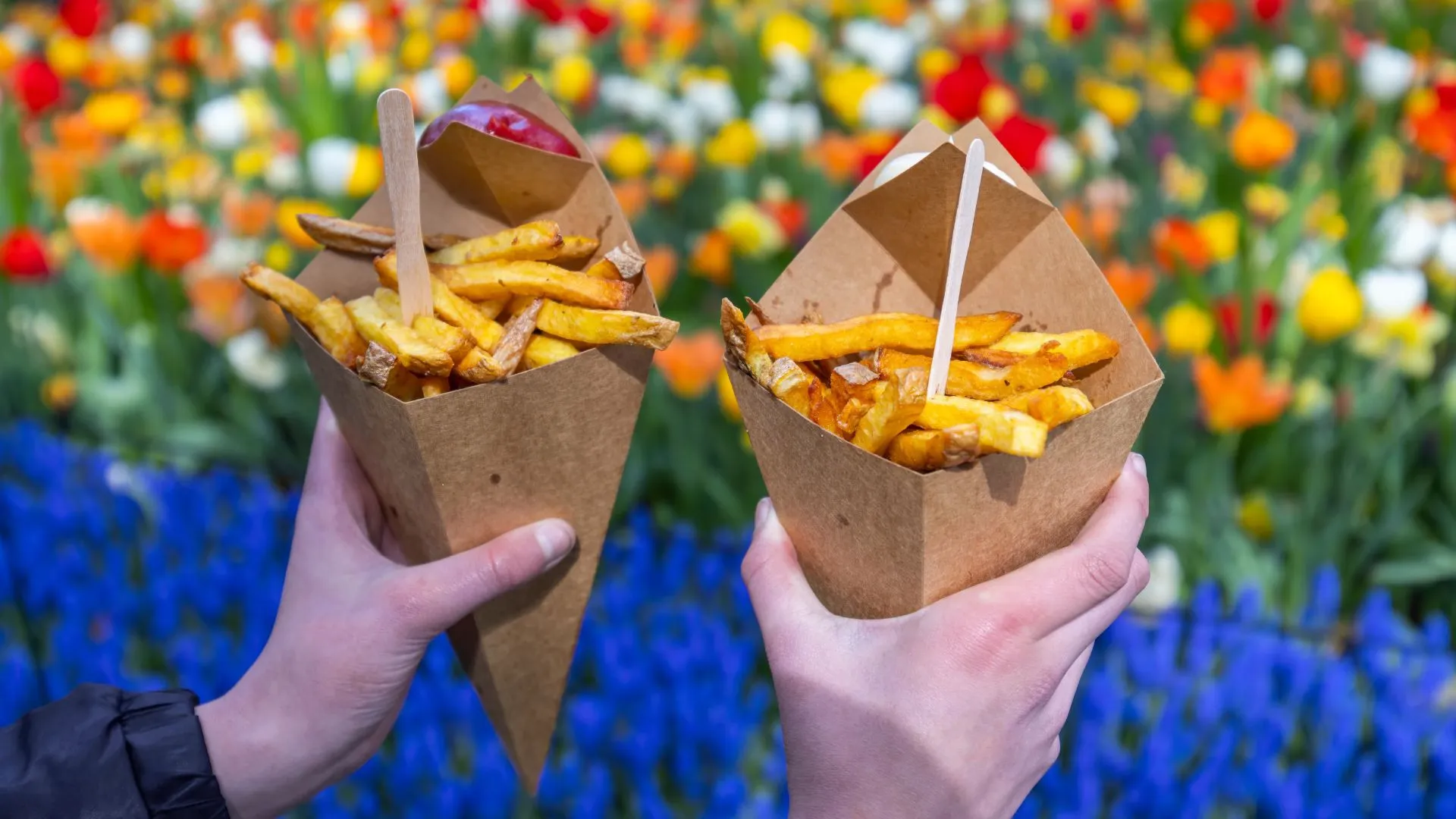Two hands holding paper cones of Dutch fries in front of a colorful field of tulips