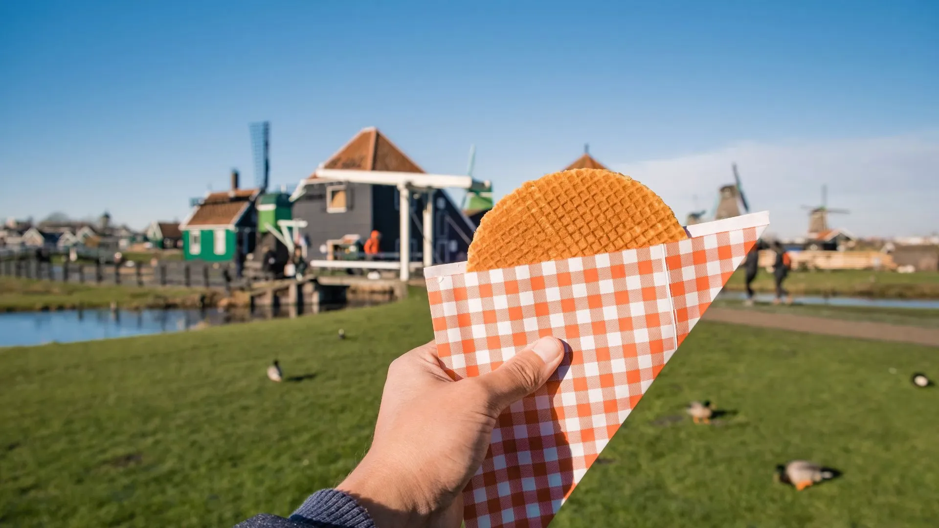 Hand holding a fresh stroopwafel in a checkered paper cone, with green Dutch houses and windmills in the background